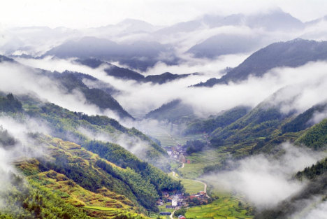 钱凯到上海：蓝图变通途的旅程