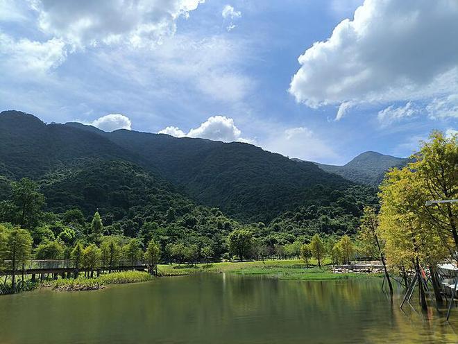 浙江宁波外滩江水倒灌现象的深度解析